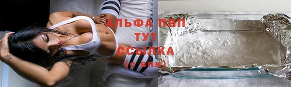 ПСИЛОЦИБИНОВЫЕ ГРИБЫ Белокуриха