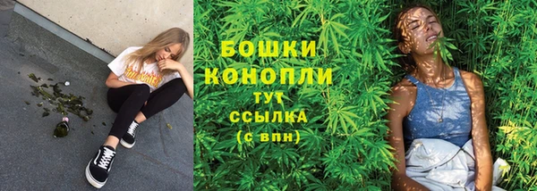 ПСИЛОЦИБИНОВЫЕ ГРИБЫ Белокуриха