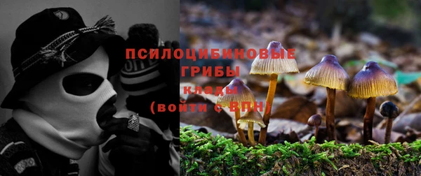 ПСИЛОЦИБИНОВЫЕ ГРИБЫ Белокуриха